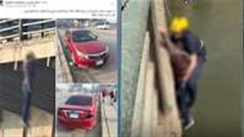 صورة من الموقع