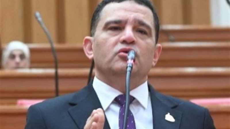 النائب أمير أحمد