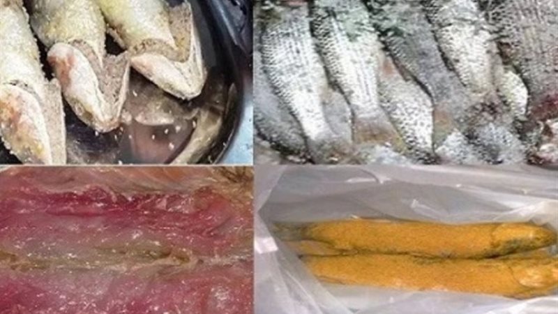 طريقة تخليل الفسيخ