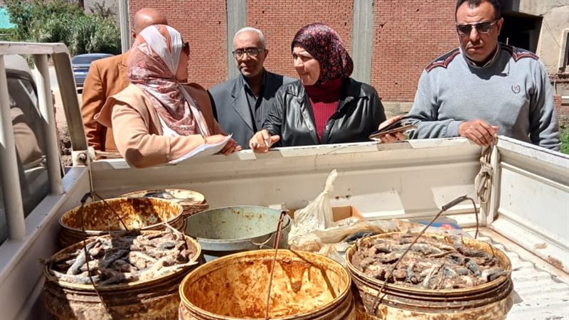 جانب من المضبوطات