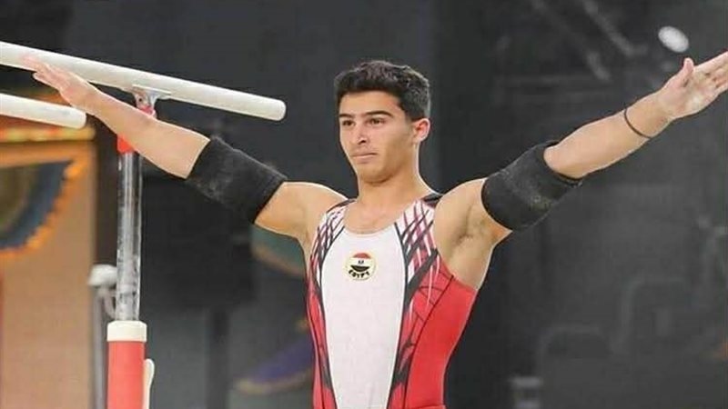 محمد منتصر عفيفي