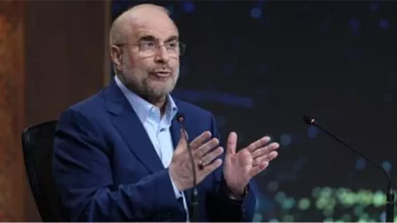 رئيس وفد إيران محمد