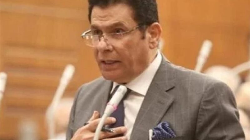 النائب السيد سعدني