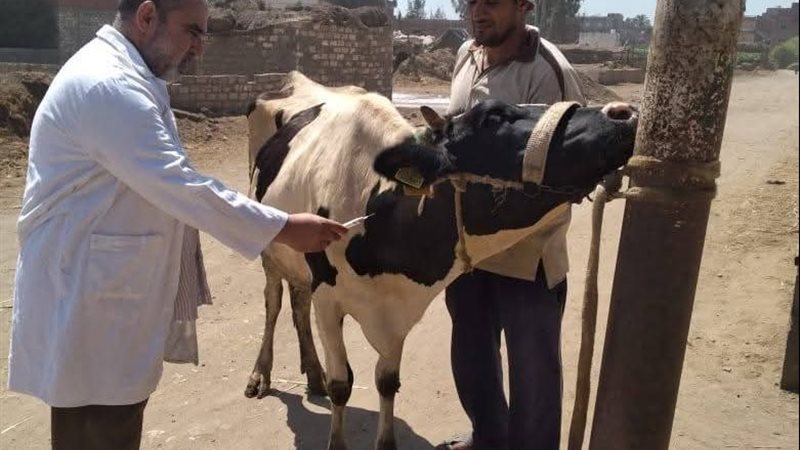 تحصين 159580 ضد مرض