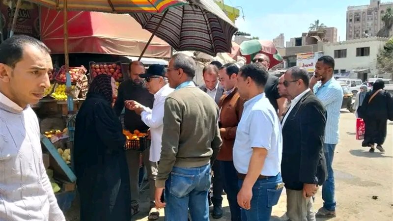 محافظ الدقهلية يتفقد