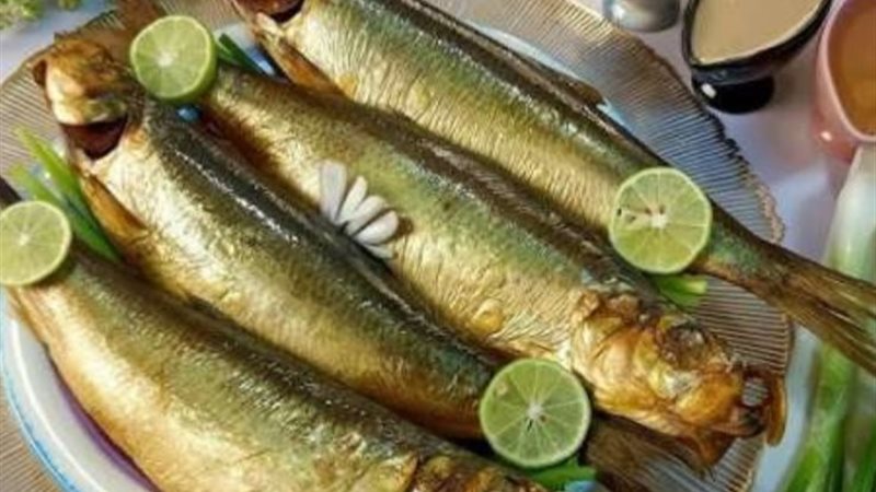 أسعار الرنجة