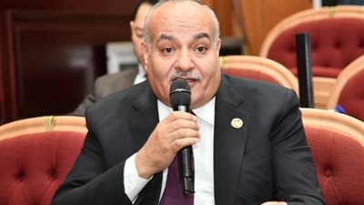 النائب محمد نوح: توجيهات الرئيس بشأن قوانين الأسرة تعكس أولوية الاستقرار المجتمعي