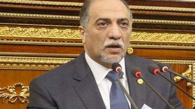 رئيس «تضامن الشيوخ»: تشريعات الأسرة قضية أمن قومي وتعزيز للاستقرار الاجتماعي