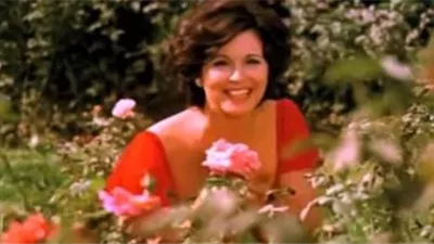 شم النسيم على الشاشة.. من «الدنيا ربيع» إلى «أحلى حاجة فيه ريحته»