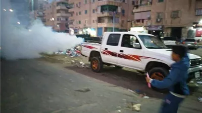 المرج تستغيث.. انتشار غير طبيعي للذباب يثير قلق الأهالي