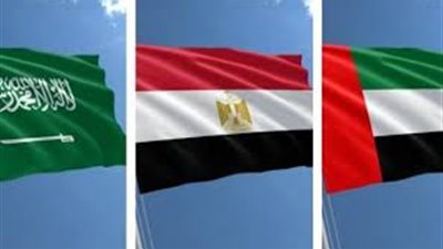 الودائع الخليجية في مصر: 