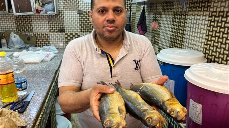 محال الملوحة بأسيوط