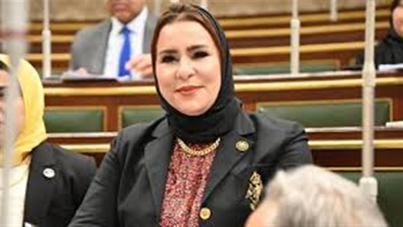 النائبة نيفين الكاتب،