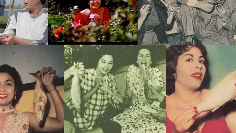 النجوم يحتفلون بشم النسيم على السوشيال ميديا