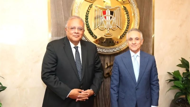 المستشار محمود حلمي