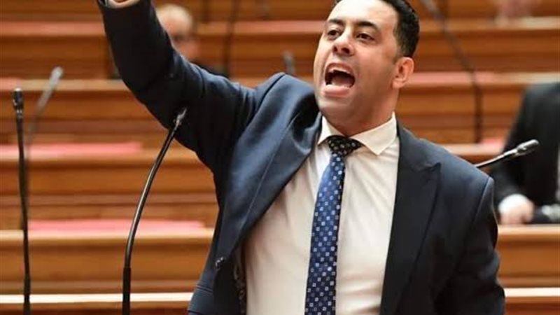 النائب أحمد فرغلي،