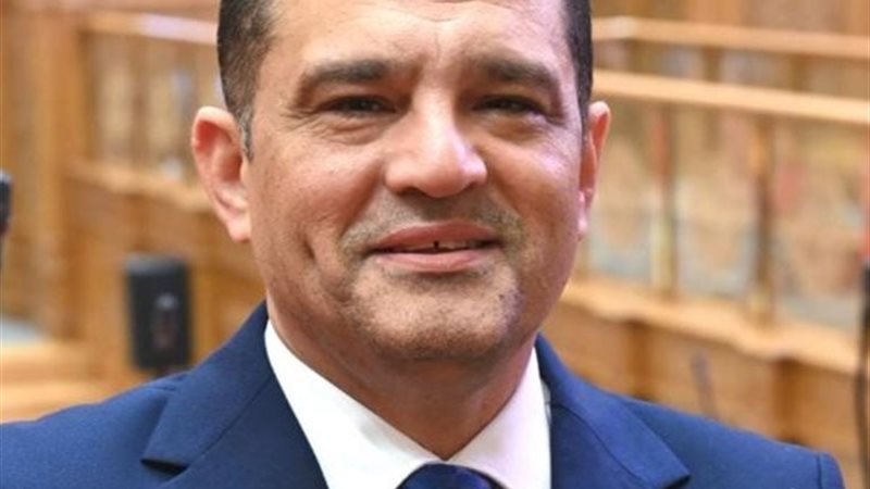 النائب أمير الجزار،