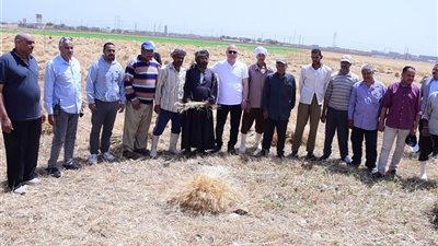 رئيس جامعة سوهاج يشارك في حصاد القمح بمزارع الجامعة.. ويؤكد زيادة الإنتاج