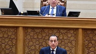 مدبولي: الاعتماد على 40% طاقة متجددة بحلول 2028