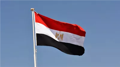 مصر تدين اقتحام مستوطنين المسجد الأقصى تحت حماية الشرطة الإسرائيلية