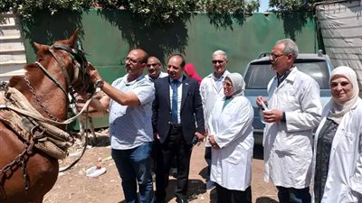 محافظ الدقهلية: علاج آلاف الحيوانات مجانًا ضمن مبادرة “حياة كريمة”