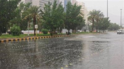 مركز المناخ يكشف تفاصيل حالة الطقس حتى نهاية شهر مايو 2026