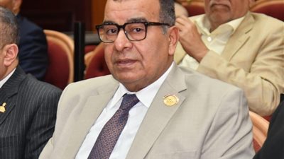 محمود مرجان: توجيهات الرئيس السيسي تعزز طفرة غير مسبوقة في مشروعات الإسكان