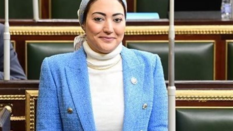 النائبة أسماء سعد