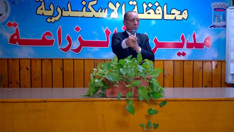 دكتور أيمن حمودة