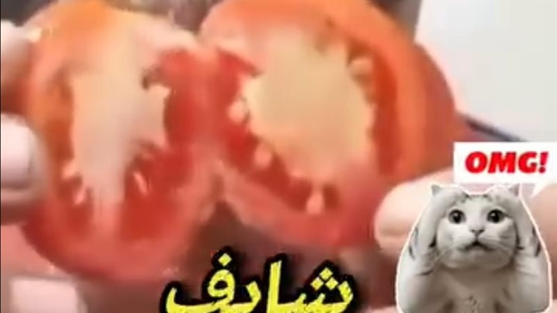صورة من الفيديو