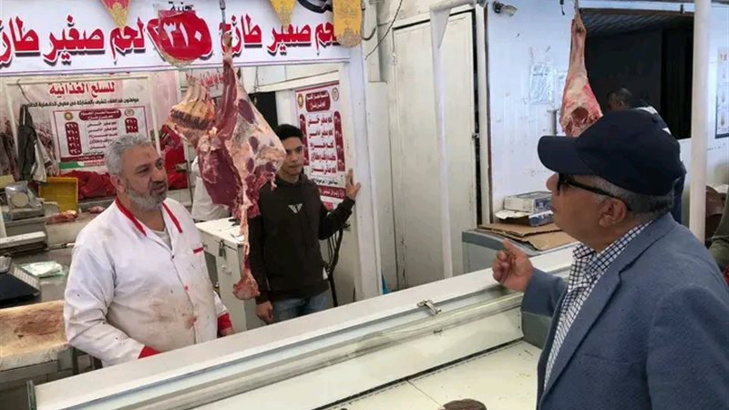 محافظ الدقهلية يتفقد