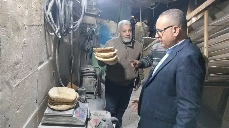 تموين الدقهلية: ضبط