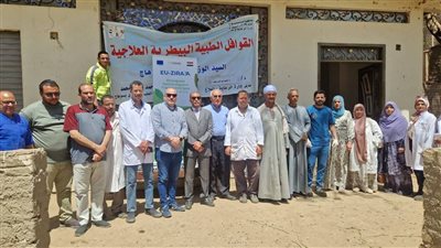 تحصين أكثر من 175 ألف رأس ماشية بسوهاج ضدالجلد العقدي وجدري الأغنام