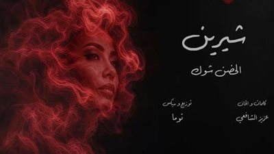 شيرين عبدالوهاب تكشف داعميها في أزمتها: 
