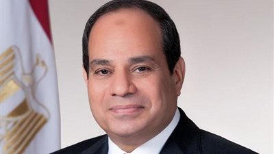 السيسي يبحث مع الأمين العام لمنظمة التعاون الاقتصادي دعم الاقتصاد وتعزيز التعاون مع OECD