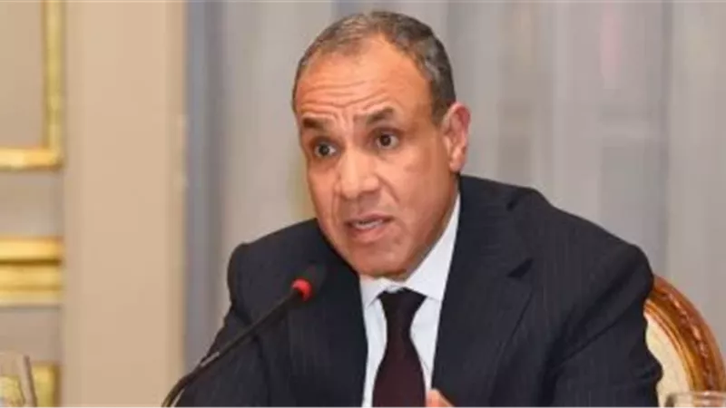 وزير الخارجية المصري،