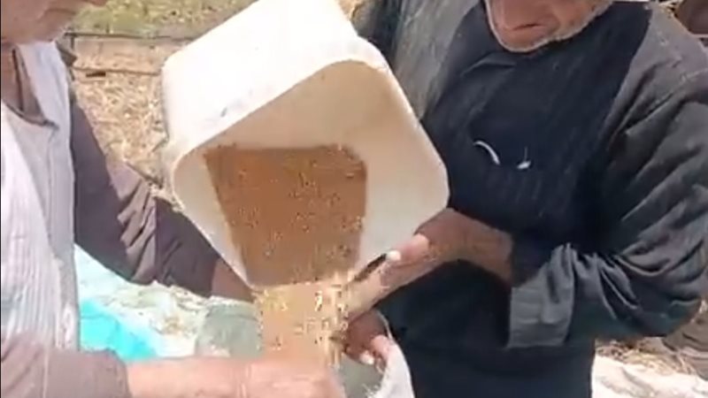 الدهب الأصفر يزين