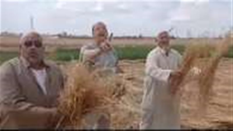  المزارعين