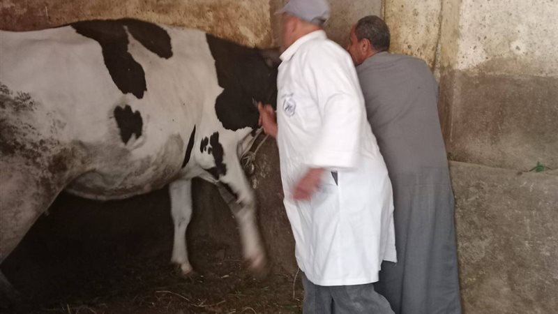 جانب من الحملات
