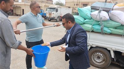 زيادة السعر ليست عشوائية… هكذا يُقيَّم القمح في كفر الشيخ
