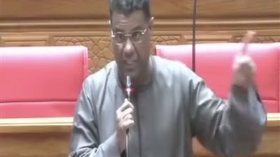 برلماني: مصر موقفها راسخ تجاه أشقائها العرب وهي المدافع الأول عن القومية العربية 