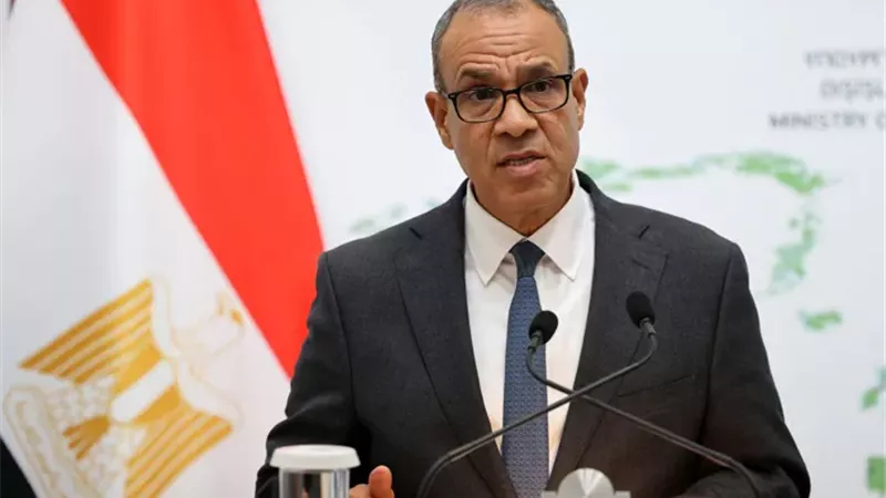 وزير الخارجية المصري،