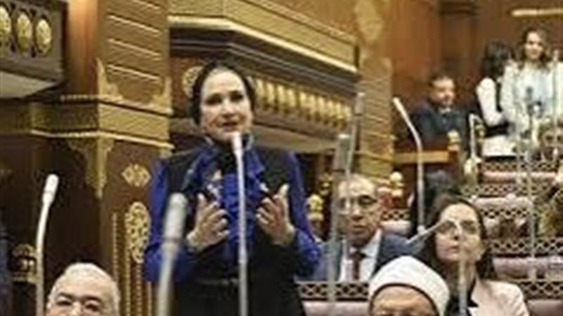 النائبة رانيه صدقي