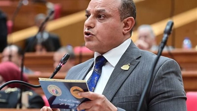 النائب مختار همام