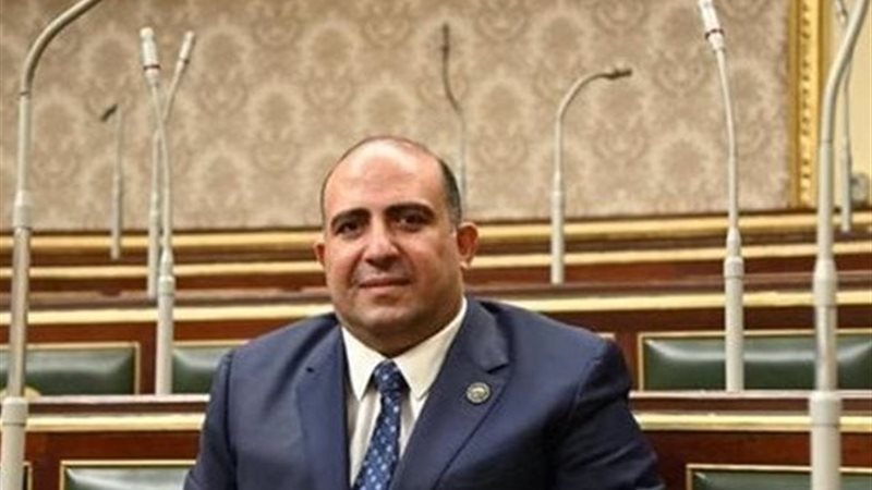 النائب محمد سليم