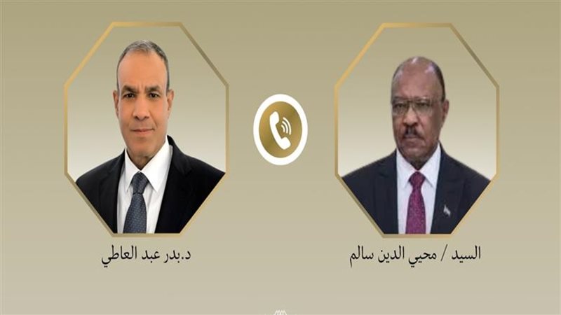  وزير الخارجية المصري