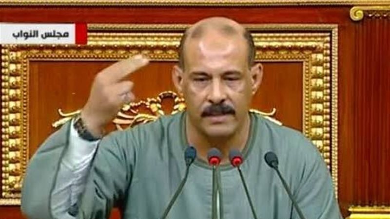 النائب فتحي قنديل