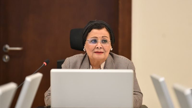 الدكتورة عبلة الألفي