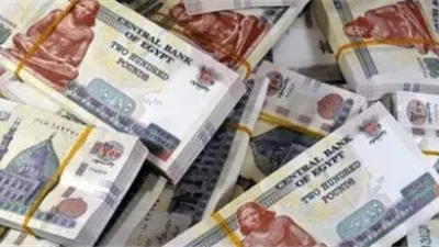قبل عيد الأضحى.. بشرى سارة للموظفين بشأن زيادة المرتبات 