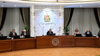 مصر تقترب من تسوية مستحقات الطاقة الأجنبية.. ومدبولي يعلن برنامج استثماري جديد